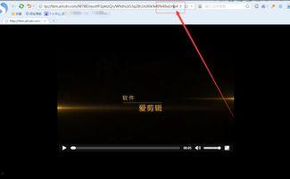 能在线播放链接,热门在线播放链接大盘点