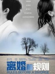 在线观看离婚前规则,揭秘婚姻裂痕背后的真实故事