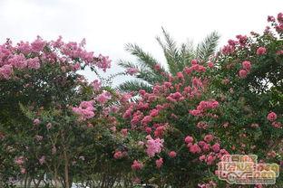 玉林江南公园最新爆料,绿意盎然，休闲新地标即将亮相