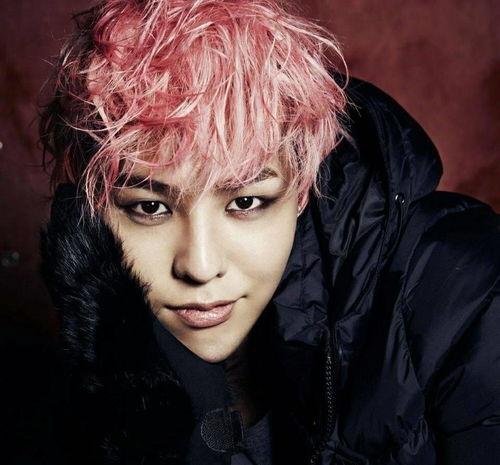 wzw 明星,闪耀舞台，魅力无限