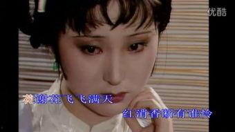 风仙花视频,绽放自然之美，探寻生命奇迹