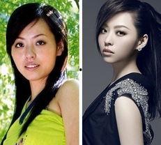 中国明星整容失败照片,美丽背后的代价