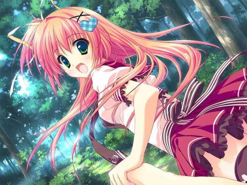 架乃352在线播放,揭秘热门在线播放剧集的魅力所在