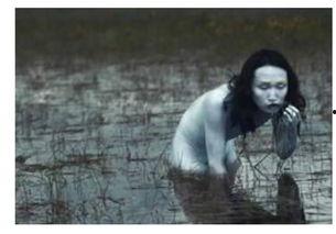 明星水鬼,水鬼表款背后的时尚传奇