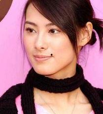 安徽广德明星,明星闪耀的璀璨明珠