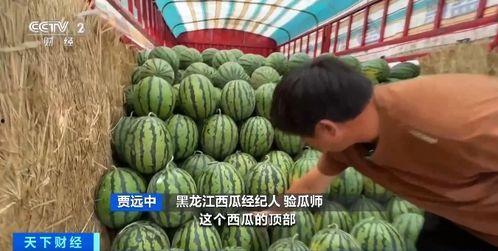 娱乐吃瓜蜀黍海苔咪